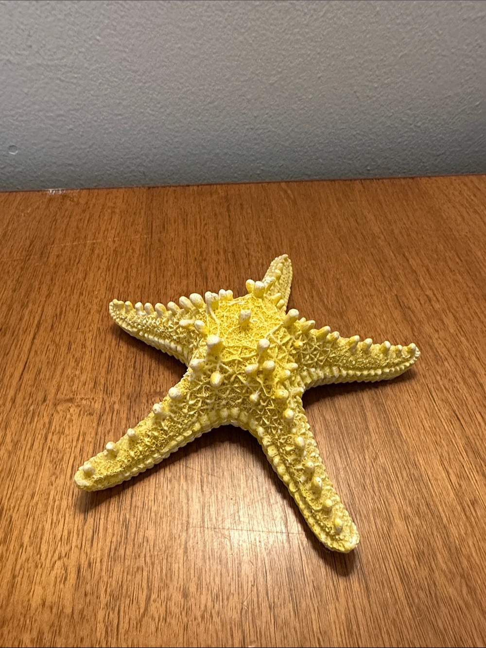 Ceramic Starfish